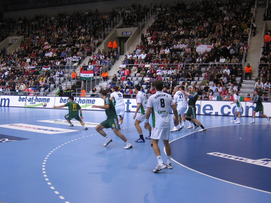 SP 2009

Foto: Mladen Kovačević

Ključne riječi: svjetsko rukometno prvenstvo utakmica dvorana navijaci