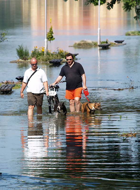 Drava poplavila promenadu

Foto: Jasmina Gorjanski

Kljune rijei: drava poplava izlijevanje