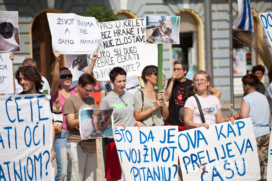 Zaustavimo nasilje nad ivotinjama!

Foto: Mario Sucur

Kljune rijei: azil pobjede zivotinje prosvjed