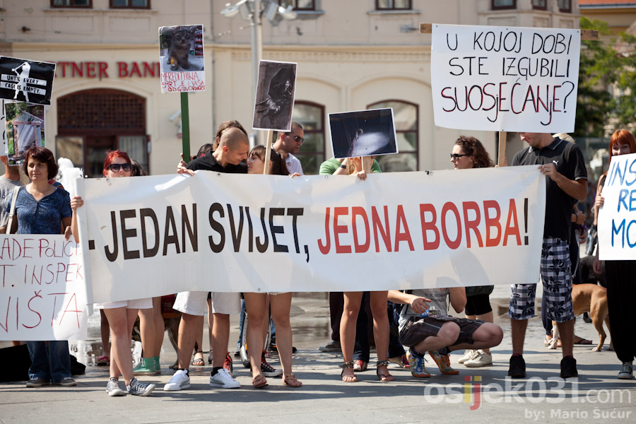 Zaustavimo nasilje nad ivotinjama!

Foto: Mario Sucur

Kljune rijei: azil pobjede zivotinje prosvjed