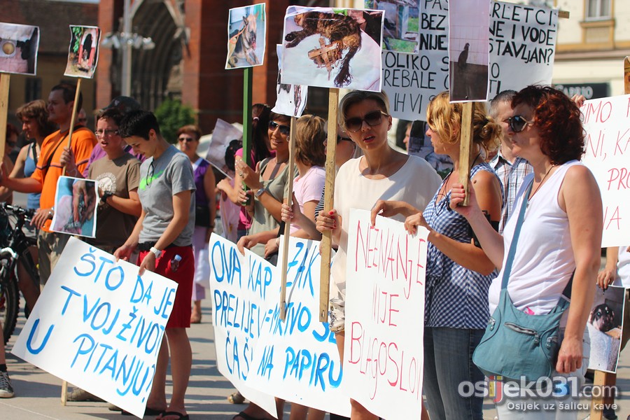 Zaustavimo nasilje nad ivotinjama!

Foto: Cacan

Kljune rijei: azil pobjede zivotinje prosvjed