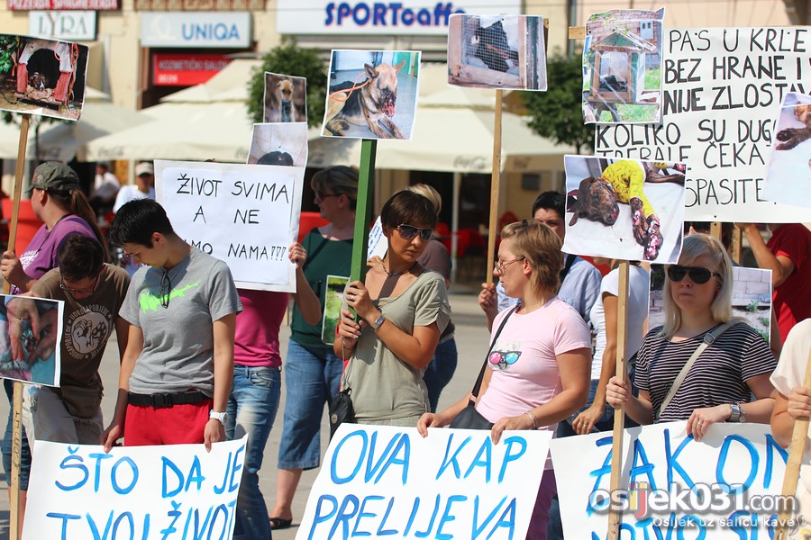 Zaustavimo nasilje nad ivotinjama!

Foto: Cacan

Kljune rijei: azil pobjede zivotinje prosvjed