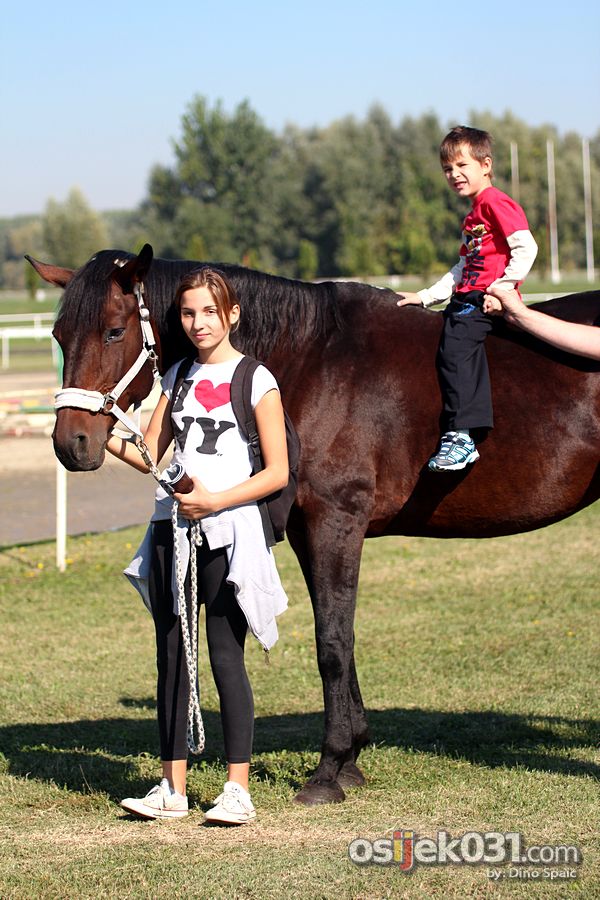 [url=http://www.osijek031.com/osijek.php?topic_id=40689][FOTO] Hipodrom: Prvenstvo Hrvatske za mlade konje[/url]
Foto: Dino Spai

