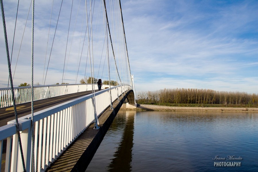 [url=http://www.osijek031.com/osijek.php?topic_id=48975][FOTO] Visei pjeaki most u Osijeku - kroz objektiv graana[/url]

Foto: Ivana Mandi

