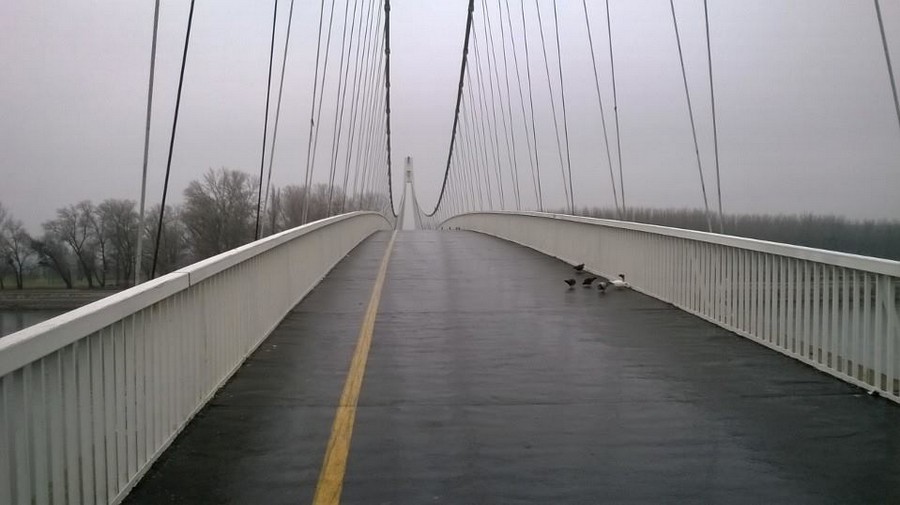 [url=http://www.osijek031.com/osijek.php?topic_id=48975][FOTO] Visei pjeaki most u Osijeku - kroz objektiv graana[/url]

Foto: Zoran Popadi


