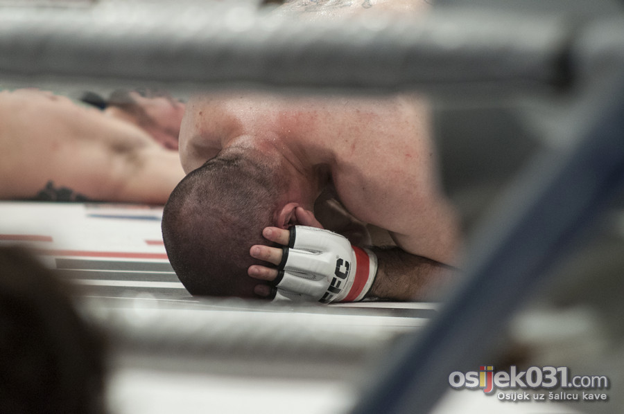 [url=http://www.osijek031.com/osijek.php?topic_id=50550][FOTO] Odline borbe na Final Fight Championshipu u Osijeku[/url]


