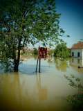 2014_05_22_poplave_u_slavoniji_volonteri_031.jpg