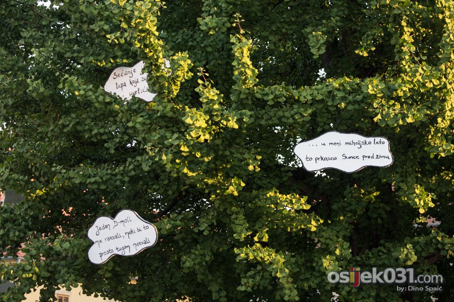Balasevic u Tvrdji, Osijek 2014.

[url=http://www.osijek031.com/osijek.php?topic_id=52869]Ispod zvjezdanog neba Djole nasmijao i raspjevao publiku[/url]

Kljune rijei: balasevic