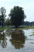 2014_09_19_poplava_drava-se-izlila_teuta_058.jpg