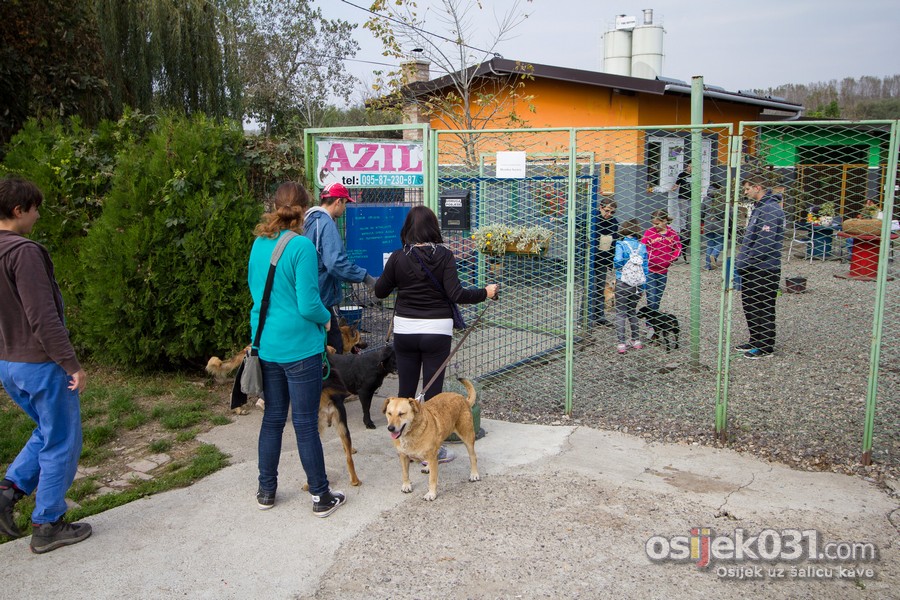 Azil za pse - subotnja etnja (listopad 2014.)

