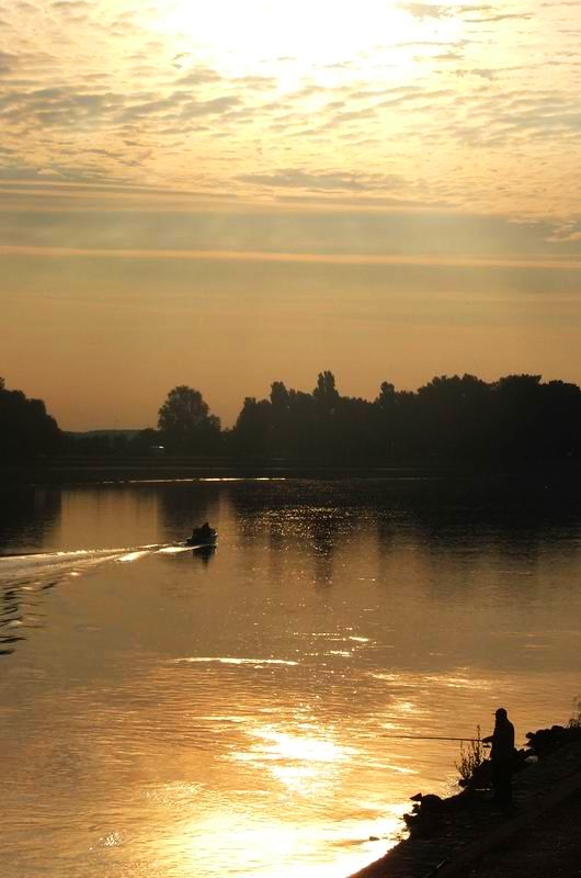 Jutarnji udiarski obred...


Photo: centurion


Kljune rijei: osijek drava pecanje jutro