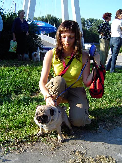 Zguvani uko, riba i torbica

Photo: k.reso

Kljune rijei: osijek beagle zatita ivotinja psi eksperimenti