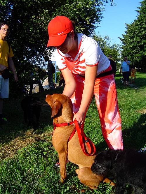 Napeto tijelo

Photo: k.reso

Kljune rijei: osijek beagle zatita ivotinja psi eksperimenti