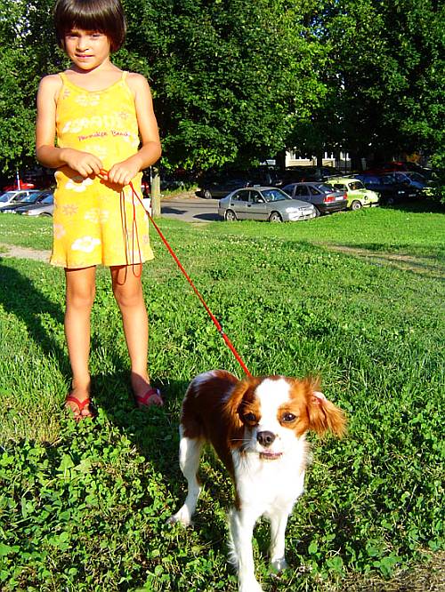 Djevojica i pac

Photo: k.reso

Kljune rijei: osijek beagle zatita ivotinja psi eksperimenti