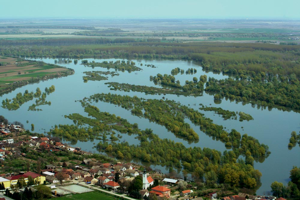 Dunav plavi

Photo: Toni

Kljune rijei: dunav