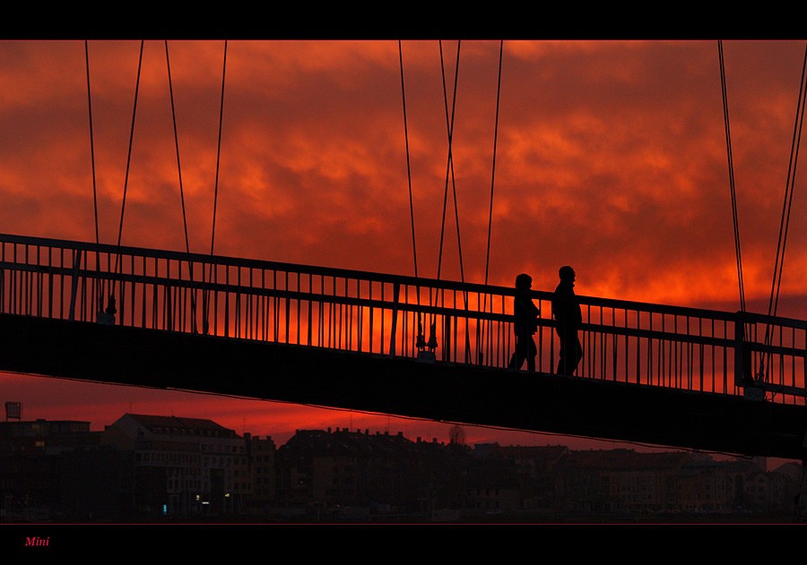 Zajedno na kraju

Foto: Jasmina Gorjanski

Kljune rijei: osijek most zalaz ljubav