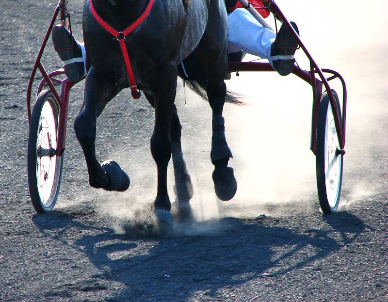 Pogon na sve cetiri

KCimer
[url=http://skviki.osijek031.com/]PhotoBlog[/url]

Kljune rijei: hipodrom konji utrke