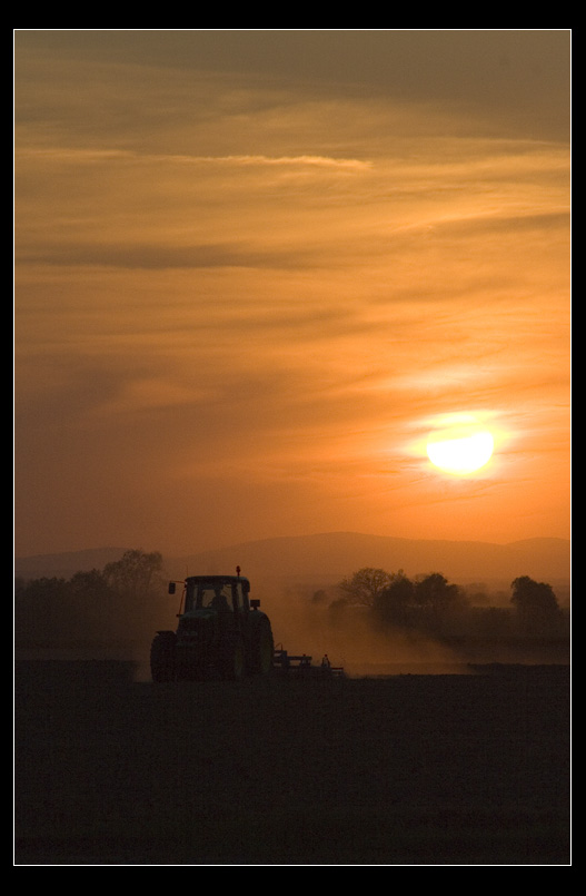 Radni strojek drlja njivu

Drlja, drlja drljaa..

Foto: Toni

Kljune rijei: jutro traktor polje sunce