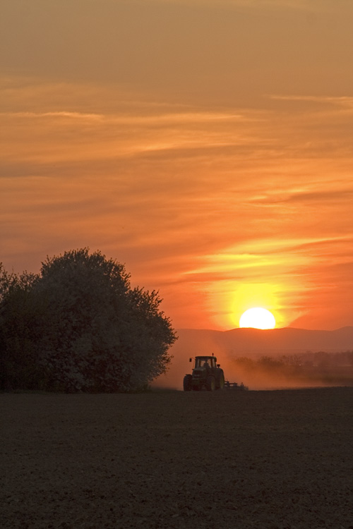 Traktore

Foto: Toni No

Kljune rijei: polje zalaz traktor