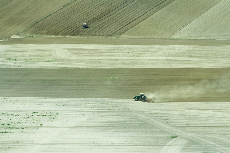 Bojanka

Foto: Toni No

Kljune rijei: baranja traktor polje