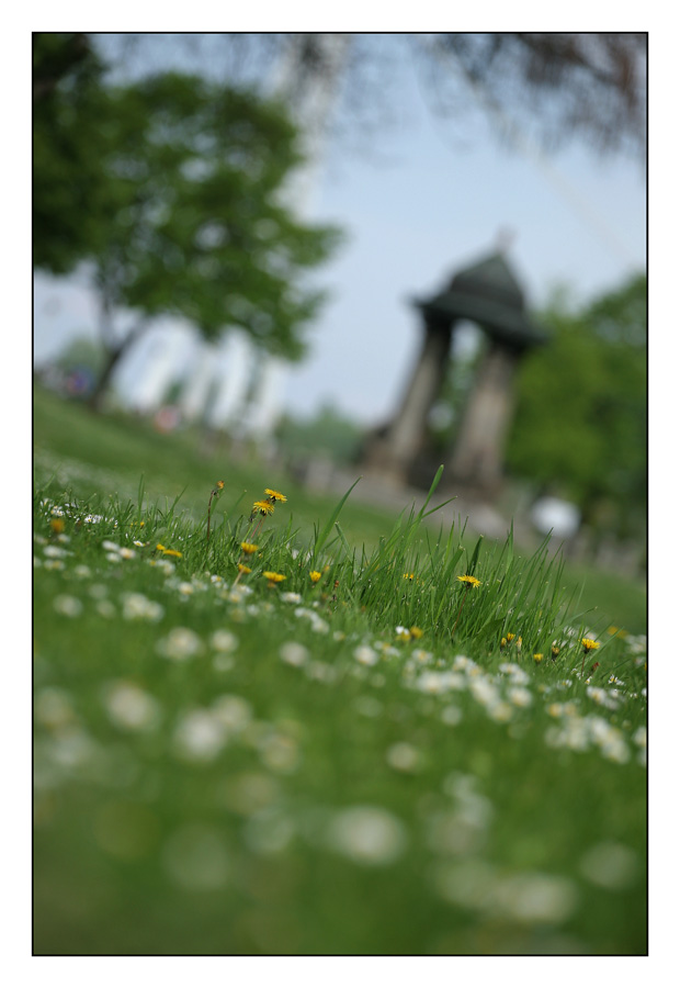 Proljetna...

foto: Sikki

Kljune rijei: trava zdenac