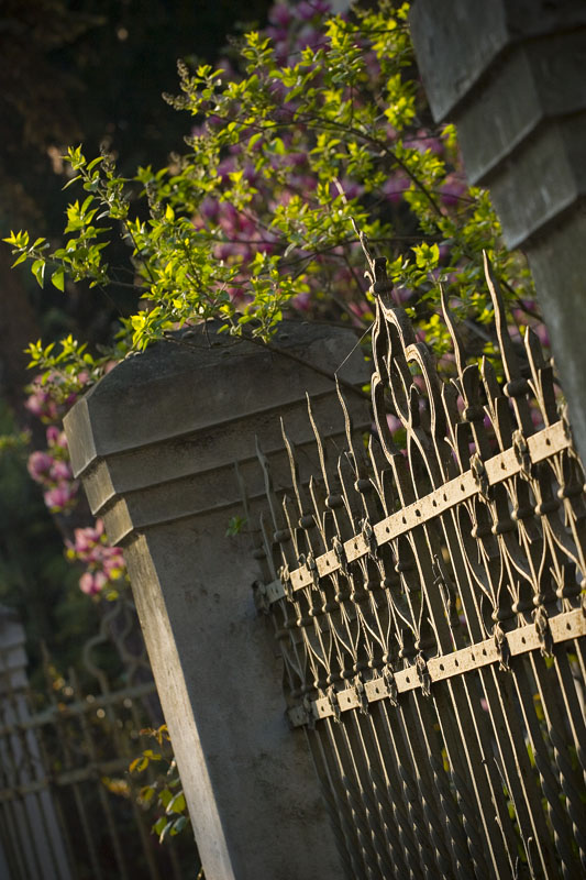 Proljetna ograda

Foto: sikki

Kljune rijei: osijek ograda proljece