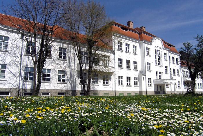 Bolnica u proljee

Photo: Jasmina Gorjanski

Kljune rijei: bolnica proljece cvijece jasmina