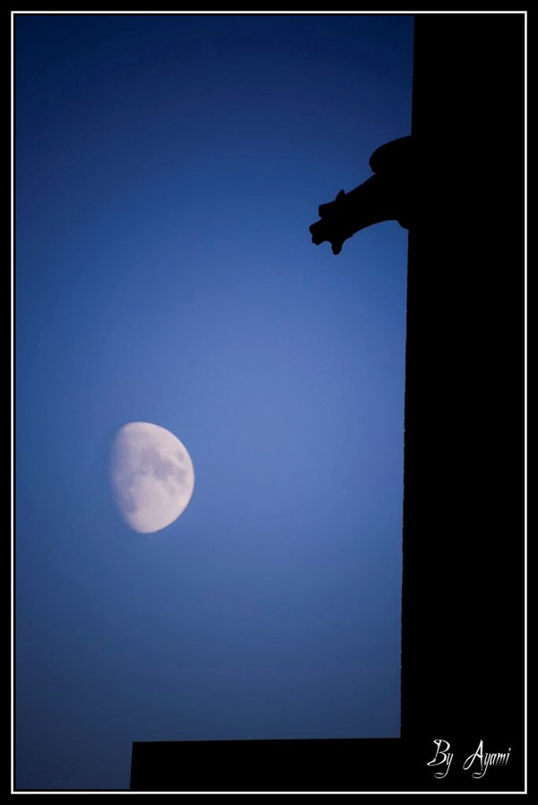 Bark at the moon

Foto: Vedran Ayami Jani

Kljune rijei: mjesec moon bark 