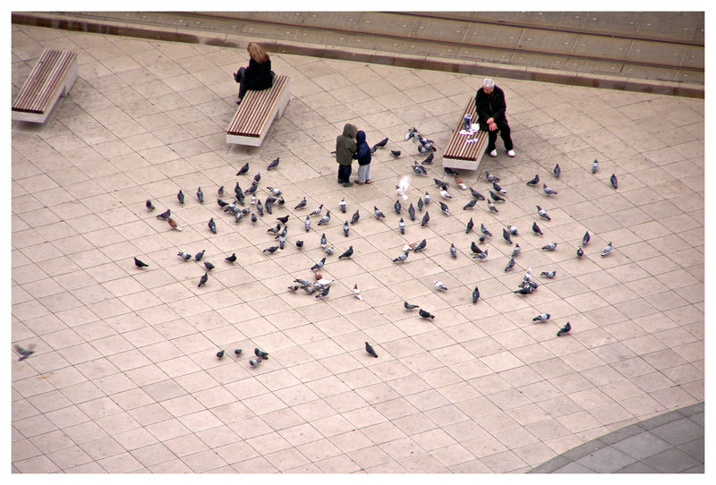 Letei takori

Foto: [url=http://www.domagojs.deviantart.com/]Domagoj Sajter[/url]

Kljune rijei: golubovi golub trg leteci stakor