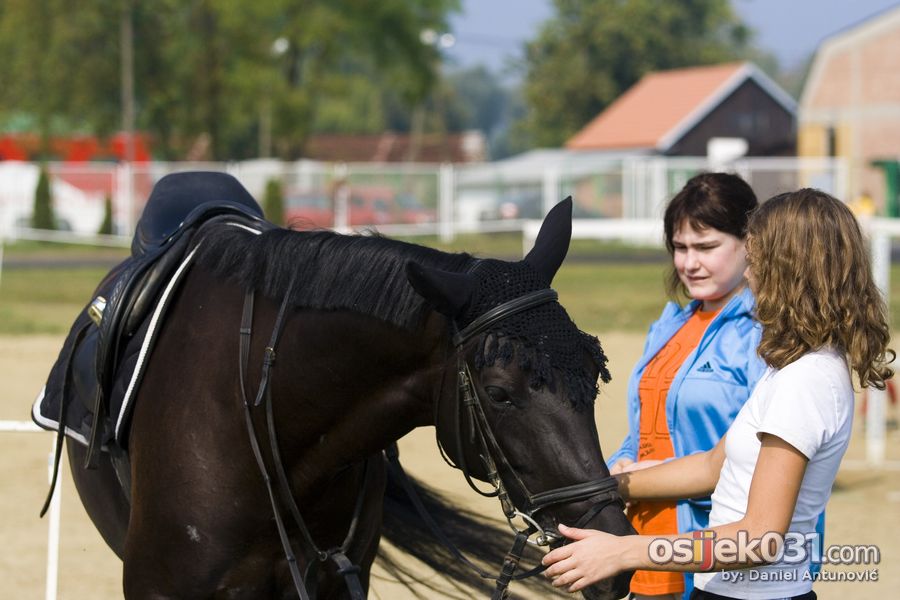 Konjiki klub Osijek

Foto: Daniel Antunovi

Kljune rijei: konjicki-klub osijek konj jahanje