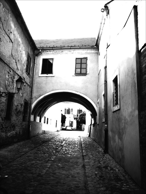 Old street

Foto: [b]Boris Hrenjak[/b]

Kljune rijei: old street tvrdja