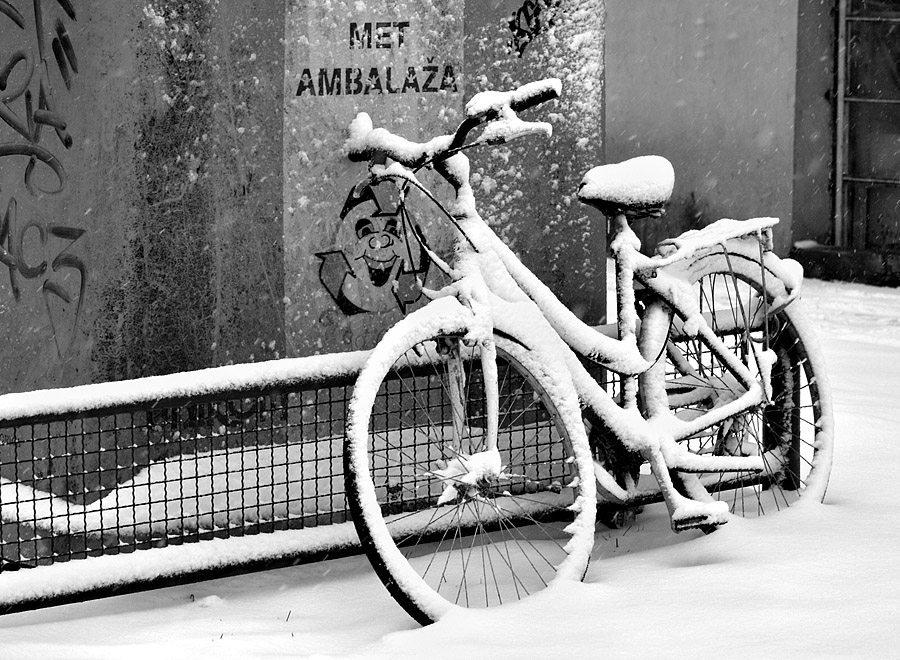 Posljednji parking

Foto: [b]Jasmina Gorjanski[/b]

Kljune rijei: posljednji-parking bicikl snijeg zima
