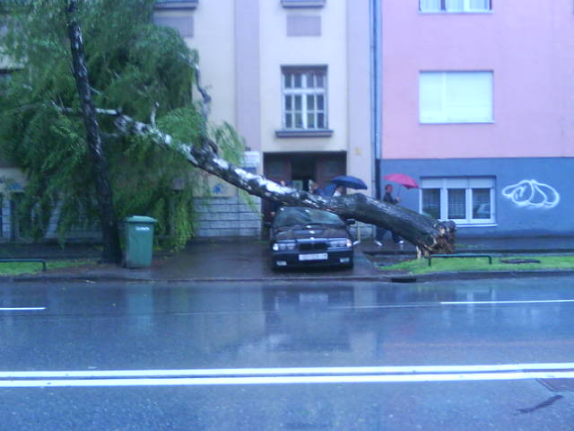 Posljedice nevremena

U Vukovarskoj ulici...

Foto: [b]Vladimir Cindri[/b]

Kljune rijei: nesreca drvo nevrijeme 