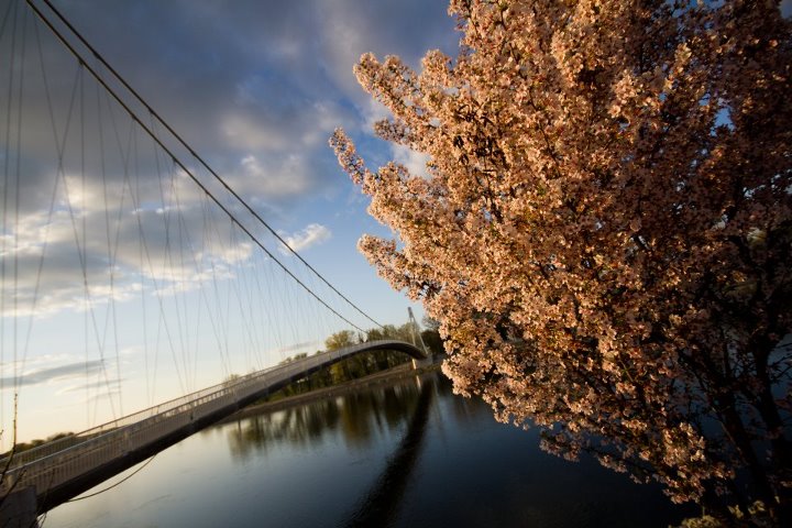 Pjeaki most

Foto: [b]Zoran Beli[b]

Kljune rijei: pjesacki-most most