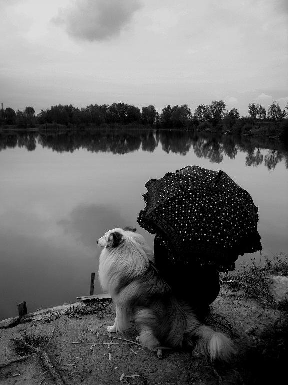 Odanost

Foto: [b]Klara Lukić[/b]

Ključne riječi: odanost pas crno bijelo drava 