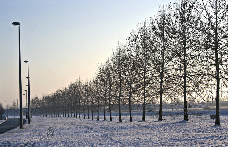 Zimski drvored

Foto: [b]Kristinka Baglama[/b]

Kljune rijei: zima snijeg drvored