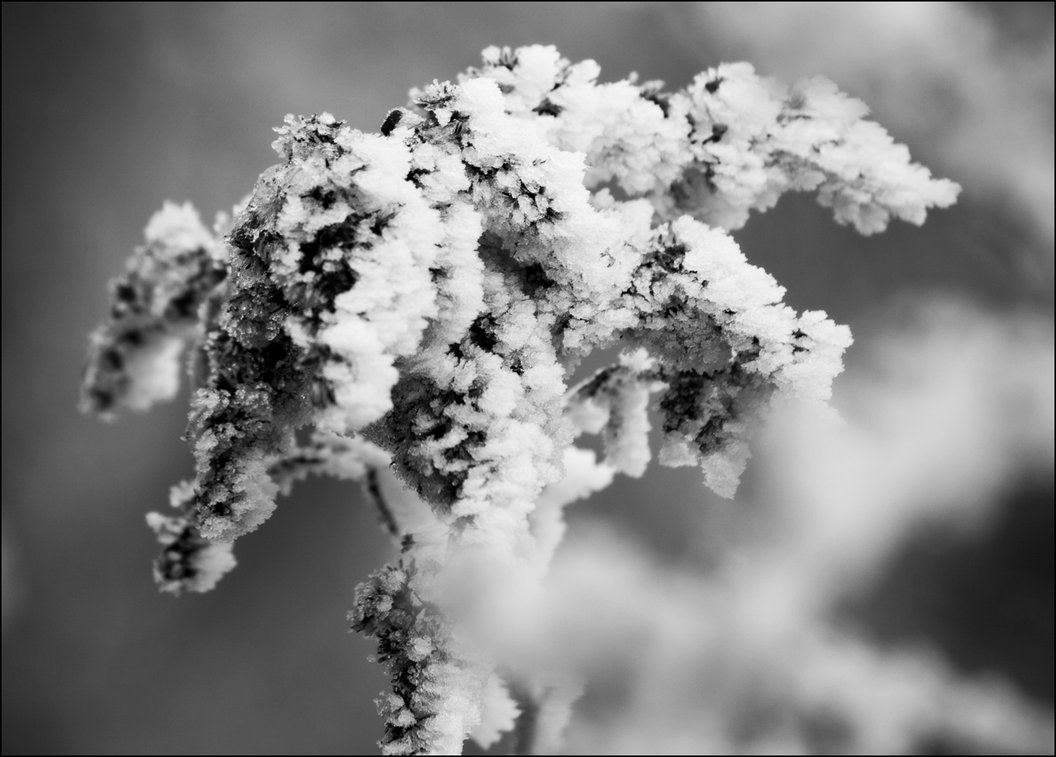 Smrznute kuglice

Foto: [b]Igor Klajo[/b]

Kljune rijei: zima snijeg kuglice 