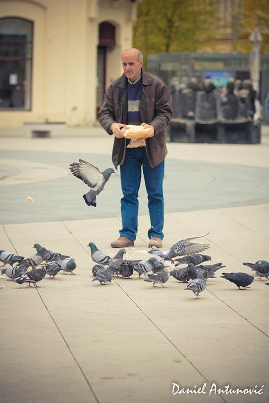 Ruak

Foto: [b]Daniel Antunovi[/b]

Kljune rijei: rucak golubovi golub