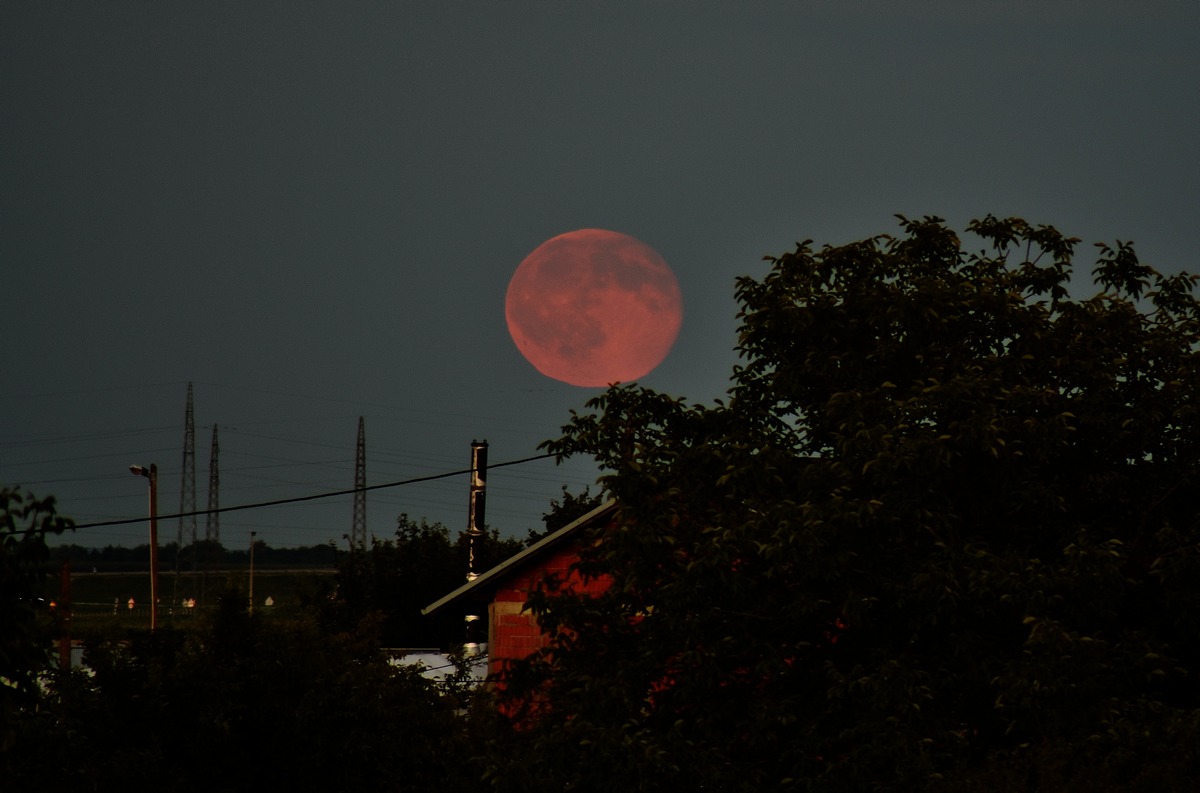 Mjesec

Foto: Marin Ivankovi

Kljune rijei: Mjesec Priroda Noc Cesta