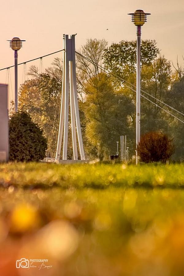 Tamo, tamo daleko

Foto: Ivica Beni

Kljune rijei: Most Priroda Ljeto Proljece