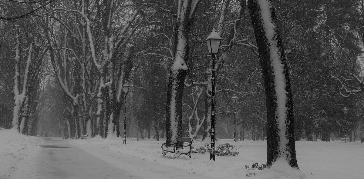 Crno bijela idila

Foto: Borivoj Velikinac

Kljune rijei: Zima Snijeg Priroda