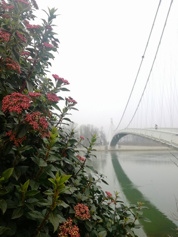 Tmuran dan

Foto: Tena Radoni

Kljune rijei: Most Priroda Drava Oblacno nebo
