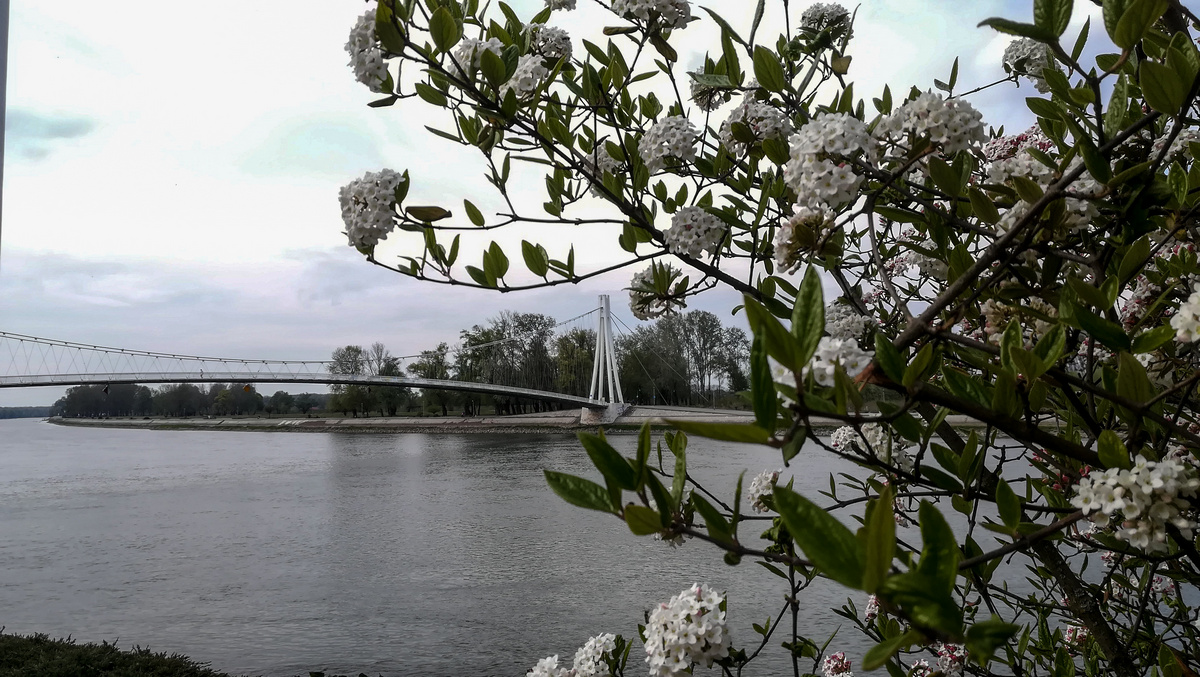 Tmurno vrijeme

Foto: Klara Haraminec

Kljune rijei: Drava Priroda Most Oblaci