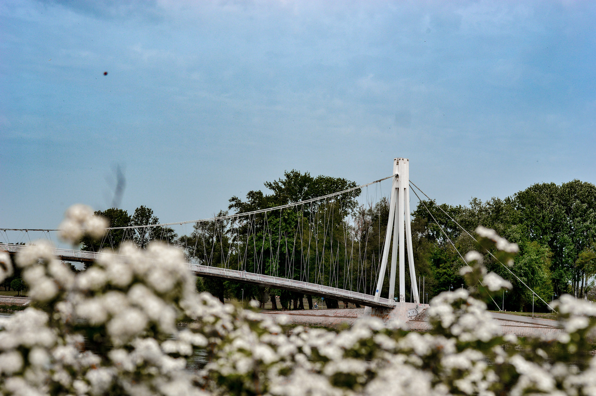 Most

Foto: Ana Nikoli

Kljune rijei: Most Priroda Cvijece