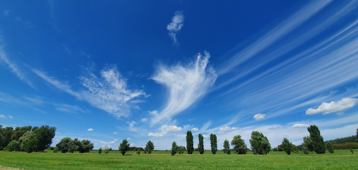 Nebo

Foto: Tomislav Dugali 

Kljune rijei: Nebo Priroda Oblaci