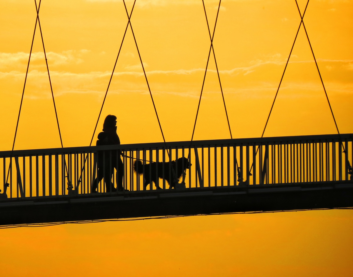 U najboljem drutvu

Foto: Josipa Henizelman

Kljune rijei: Most Zalazak Pas Setnja