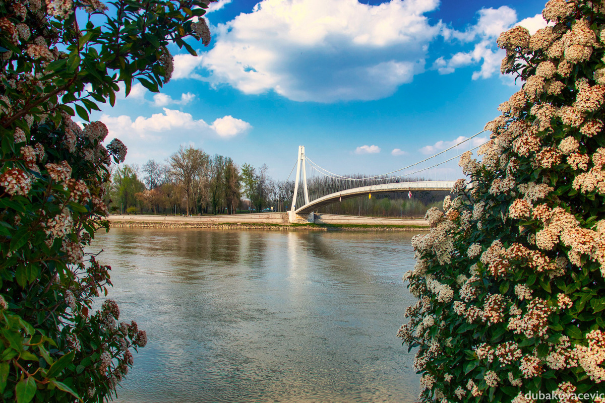Pjeaki most

Foto: Dubravka Kovaevi

Kljune rijei: Most Drava Nebo Oblaci Priroda Cvijece
