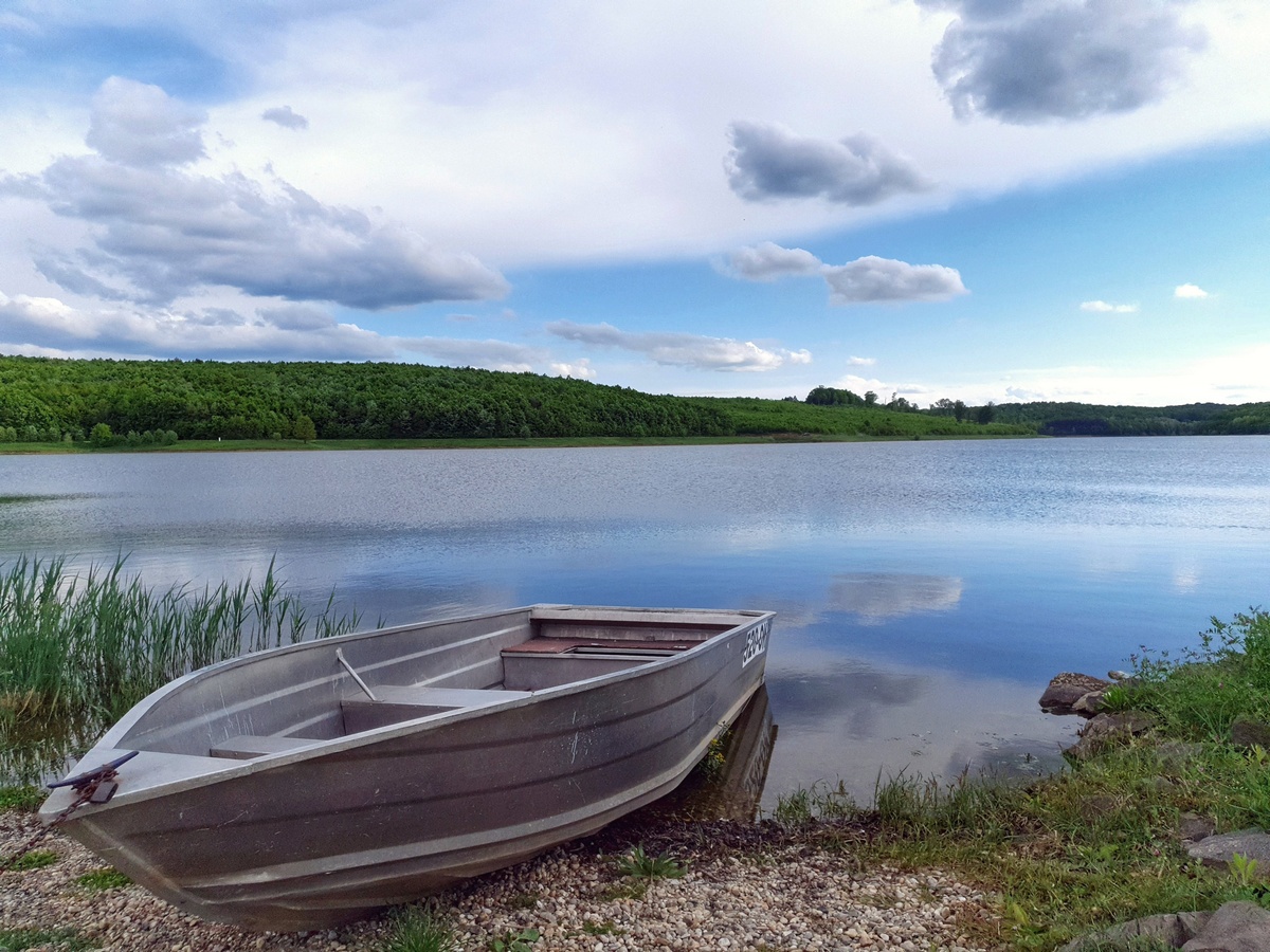 Jezero Lapovac

Foto: Marin Bonjakovi

Kljune rijei: Lapovac Nasice Priroda Camac