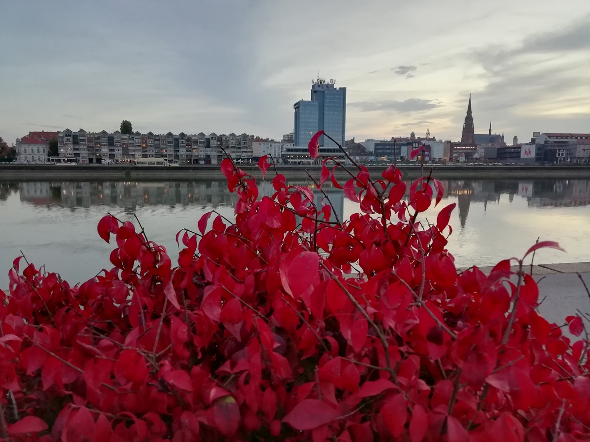 Kroz crveno

Foto: Debora poljar

Kljune rijei: Grad Drava Rijeka Priroda Hotel