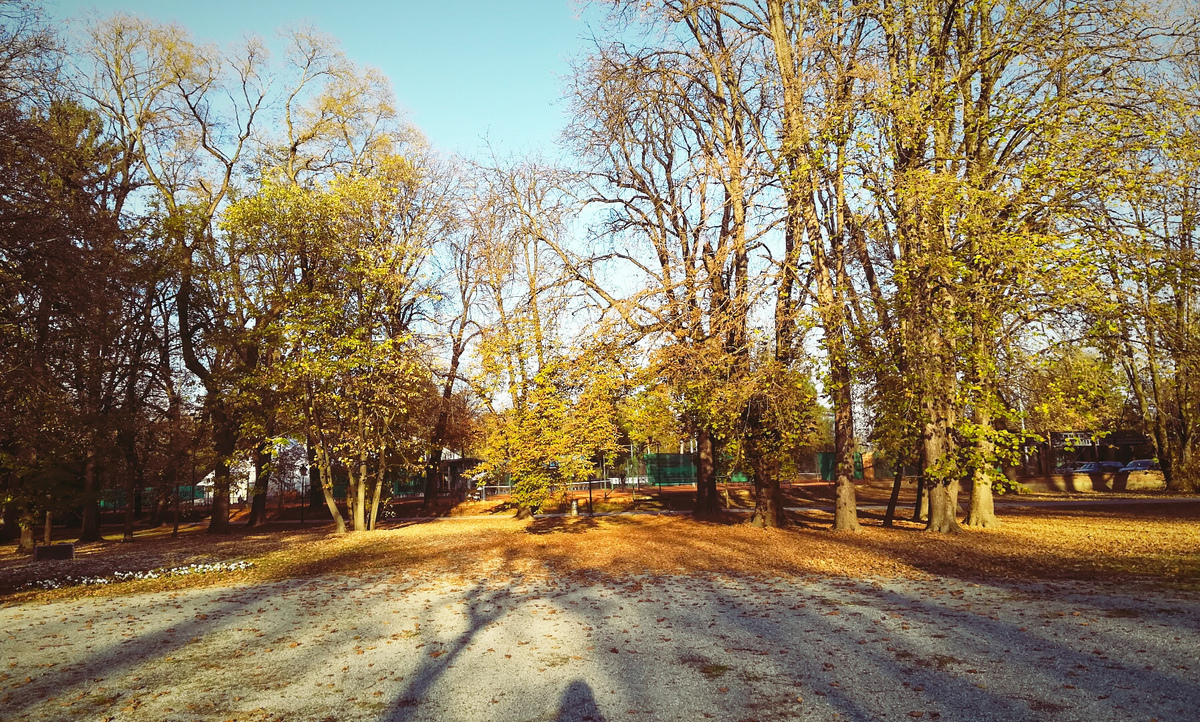 Jesen u parku

Foto: Marija Vladika

Kljune rijei: Jesen Park Priroda